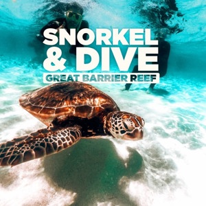 Snorkel & Dive: Great Barrier Reef Tour