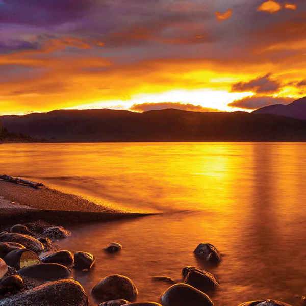 14-Day New Zealand Vista Tour from Auckland: Rotorua, Wellington, Picton, Christchurch, Omarama, Dunedin, Te Anau and Queenstown | 1 Country and 10 Cities | 13 Breakfasts & 7 Dinners