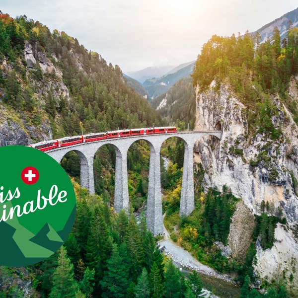 8-Day Switzerland Rail Tour from Zürich: Geneva and Lucerne | 1 Country and 6 Cities | 7 Breakfasts, 2 Lunches, 3 Dinners