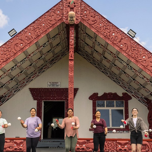 New Zealand Panorama