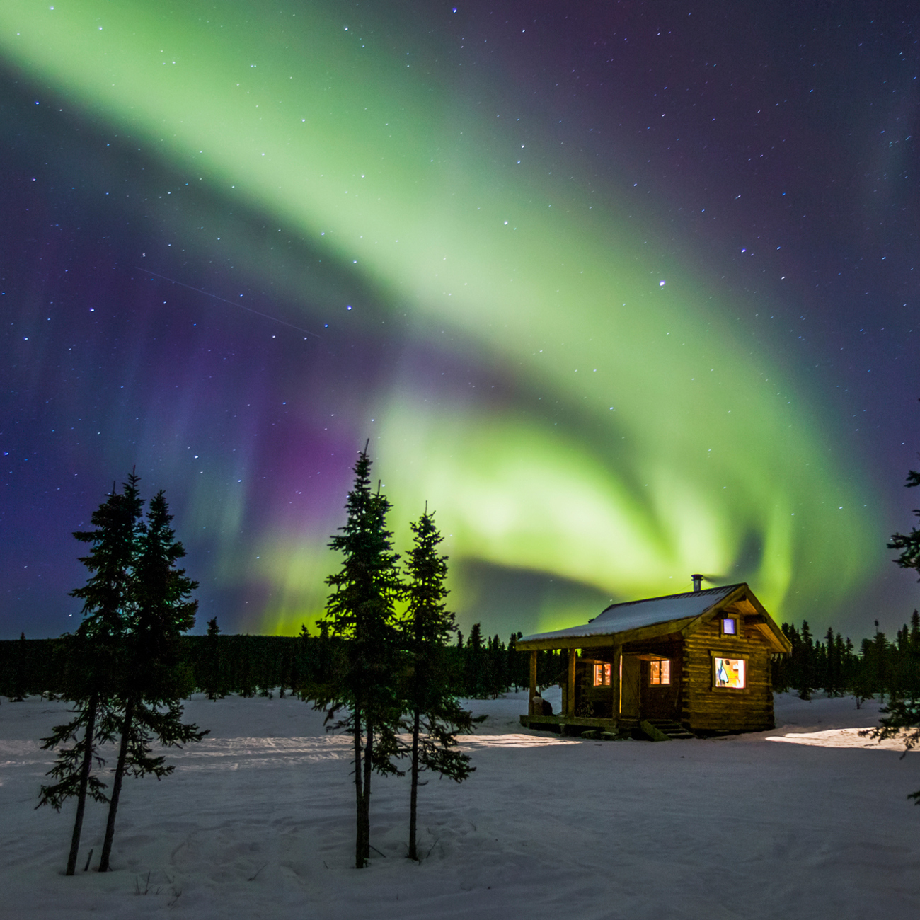 7-Day Alaska Northern Lights Tour from Fairbanks: Denali National Park, Talkeetna and Anchorage | 1 Country and 4 Cities | 6 Breakfasts, 2 Lunches, 3 Dinners