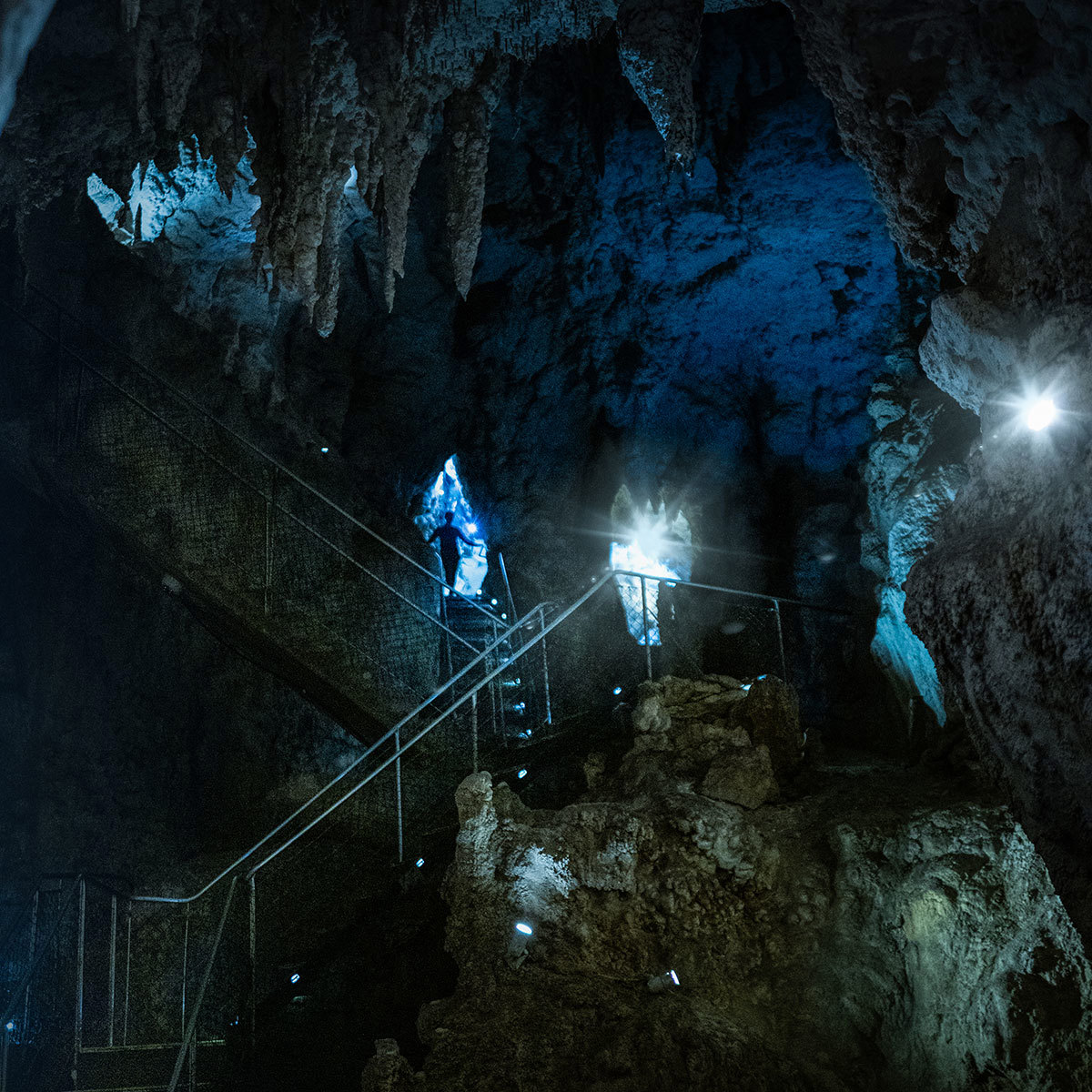 Waitomo Glowworm Caves
