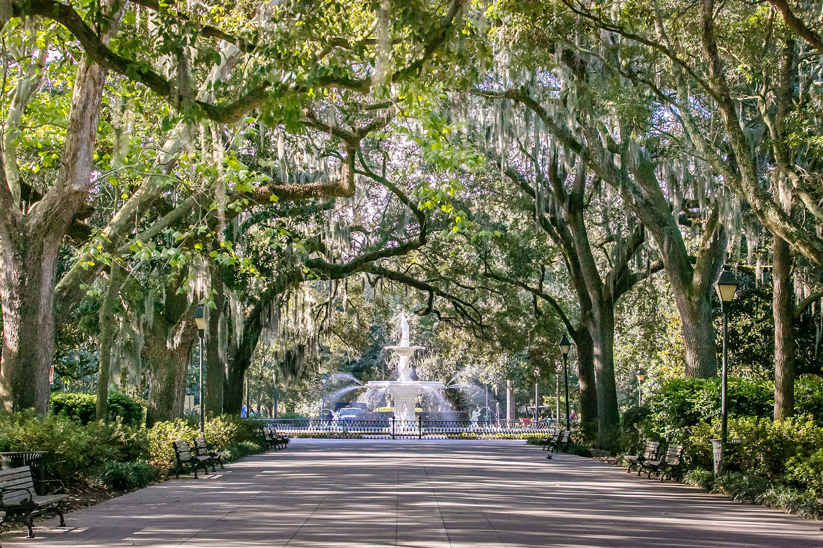 tourhub | Trafalgar | Charms of the Southeast USA 