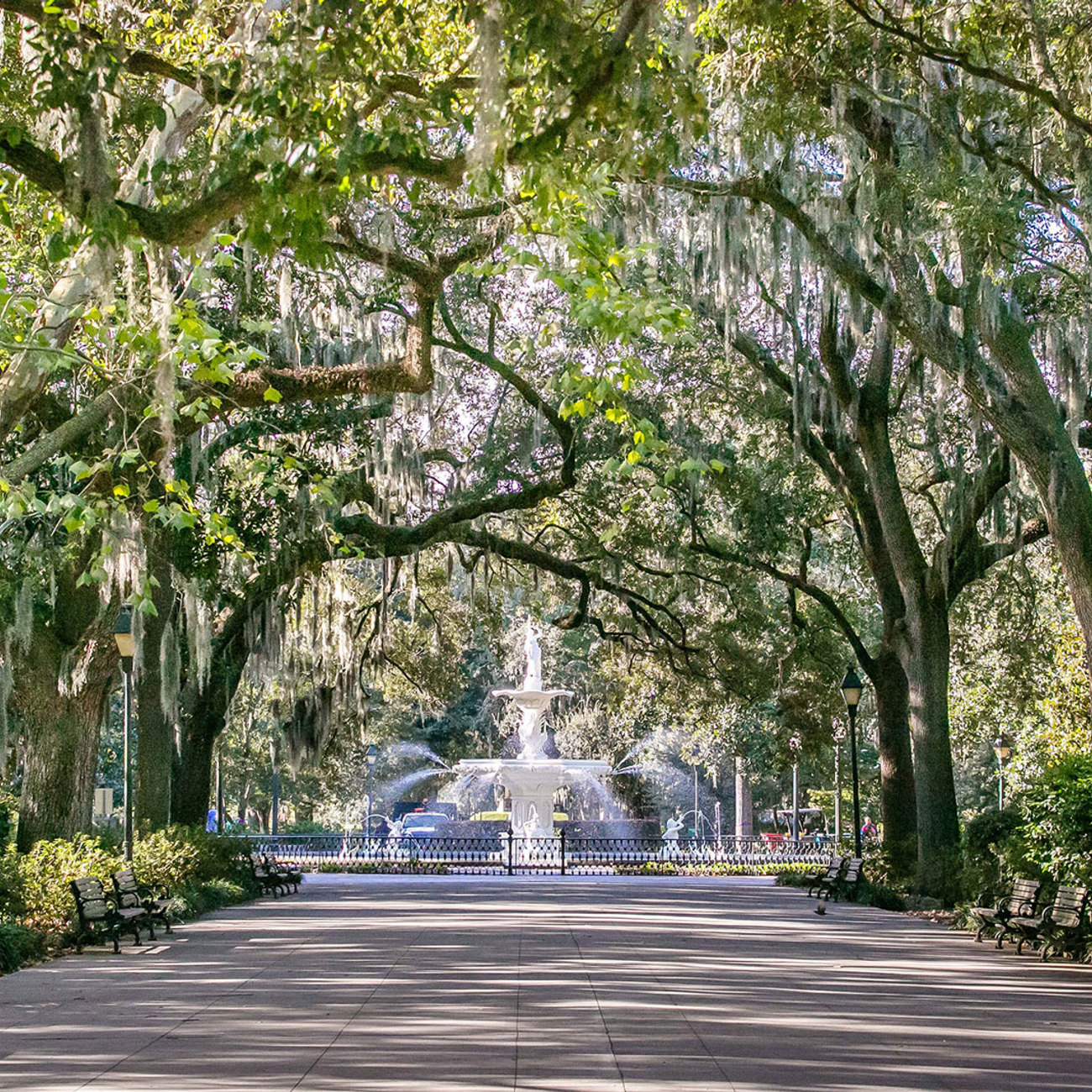 7-Day Charms of Southeast USA Tour from Charleston: Savannah and Jekyll Island | 1 Country and 6 Cities | 6 Breakfasts, 1 Lunch, 2 Dinners