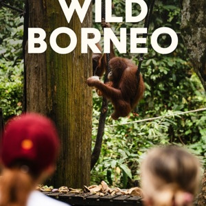 Wild Borneo Tour