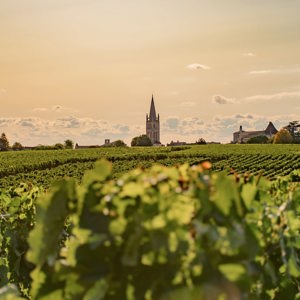 Sunset over vineyards in Bordeaux, France, with rows of grapevines leading to a historic village and church - Bordeaux, Burgundy & Champagne Tour