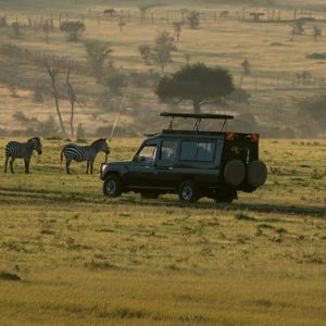 14-Day Best of Uganda and Kenya  35 to 45 | Camping | 2027