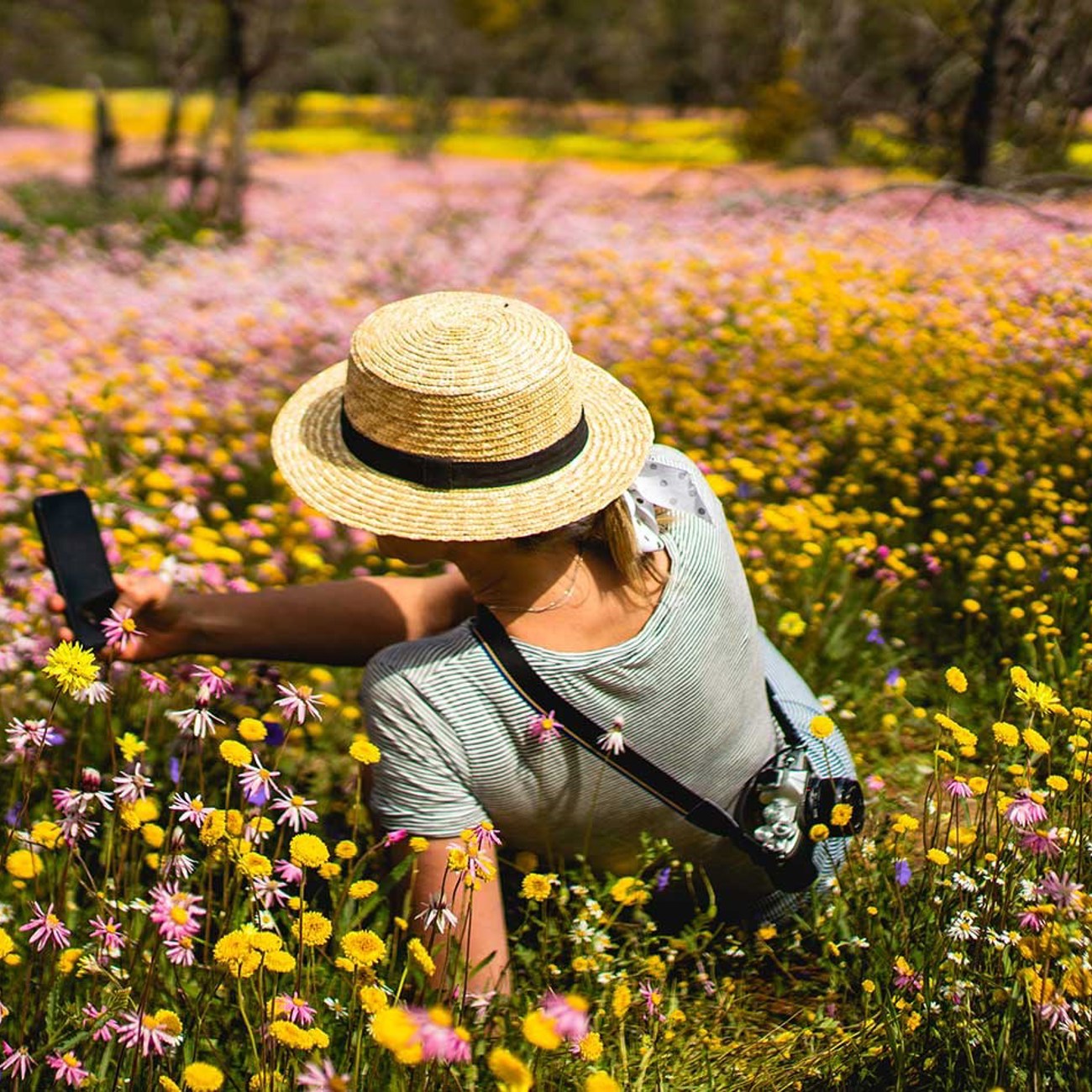 Wonders of the Pilbara and West Coast