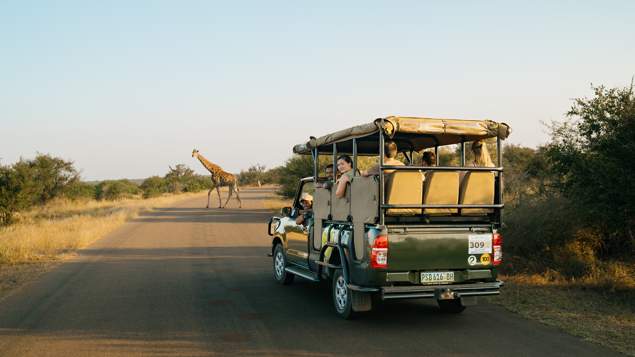 Southern Africa Safari 2025 Contiki (Tour 3621878)