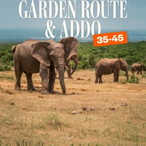 Garden Route & Addo 35 to 45 Tour