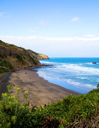 Black sand beach, green cliffs and blue ocean water, Muriwai, New Zealand