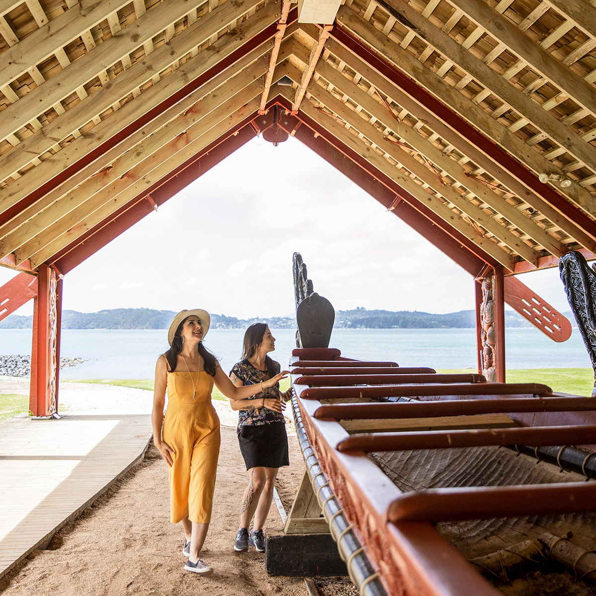 Waitangi Treaty Grounds